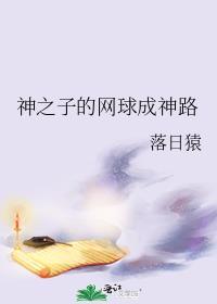 网球王子王子vs神之子国语