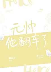 元帅他翻车了免费阅读完整版