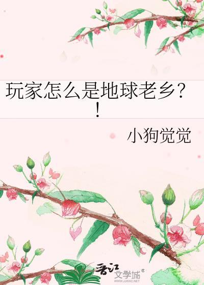 地球玩家形容什么人