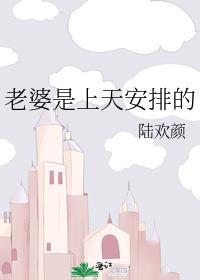老婆是上天安排的陆欢颜