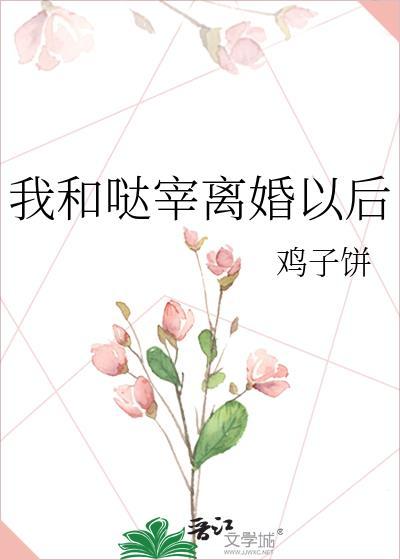 我和她离婚后漫画
