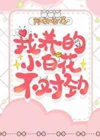 吧小白花养成