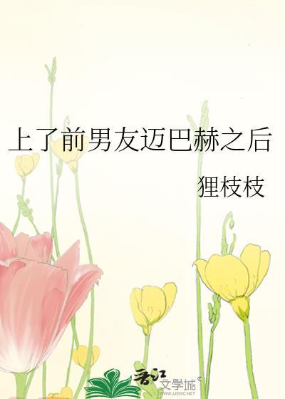 撞上前任迈巴赫之后