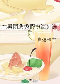 在男团选秀假扮海外选手番外后日谈