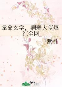 玄学大佬穿病弱真