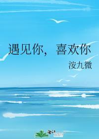 遇见了你只喜欢你是什么歌