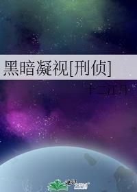 凝视黑暗所有作品
