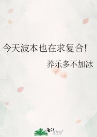波本篇在哪几集
