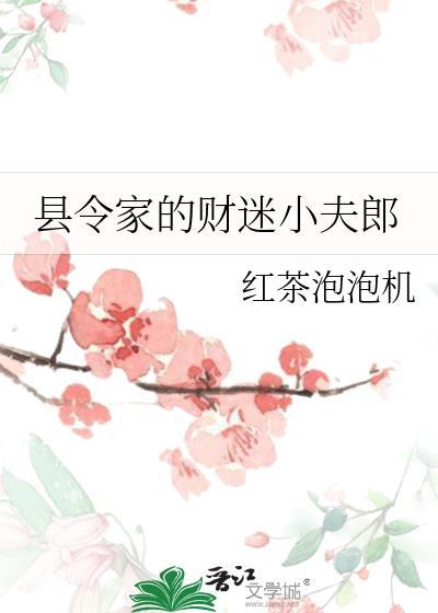 县令家的财迷夫郎txt