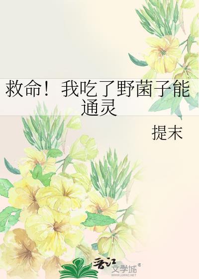 招惹愈枫晚作者晴夕