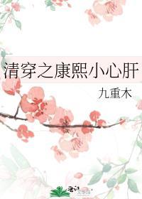 清穿之康熙心尖宠panda骅