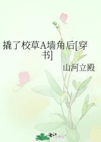 撬了前任新欢的Boss番外岁寻