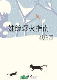 娃综爆火指南城临西番外