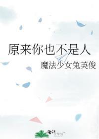 原来你不是真正的爱我歌词