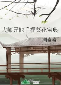 大师兄抱向日葵生病