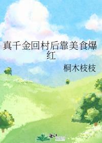 穿越后我靠做饭火遍全网