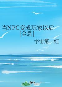 当NPC绑定玩家面板TXT百度