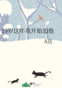 19岁开始追他番外