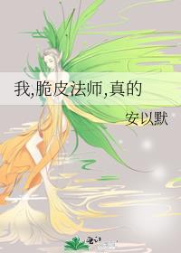 法师打脆皮出什么