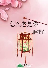 两界搬运工从60崛起动画