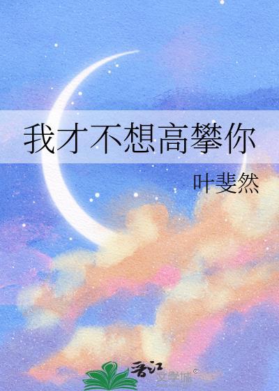 不想高攀什么意思