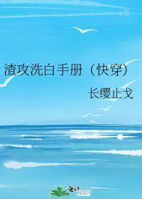 渣攻洗白手册