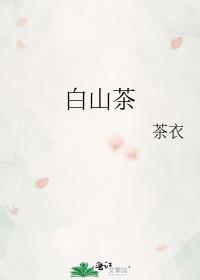 白山茶花花语和寓意