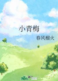 小青梅不经cv1h
