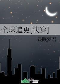 全球追击令老婆离婚无效全文免费阅读