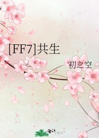 ff7共有几章