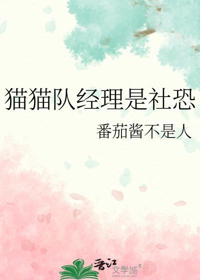 猫队所有成员的回响