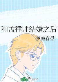 和孟律师结婚以后讲的什么故事