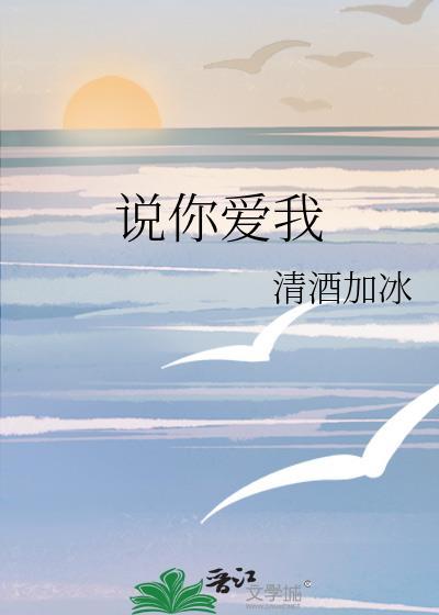 说你爱我